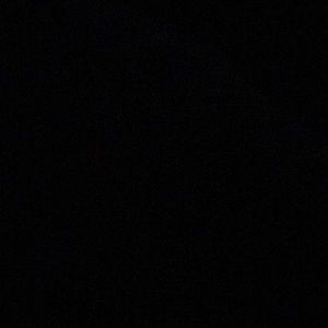 Meet your Posher, Dusty